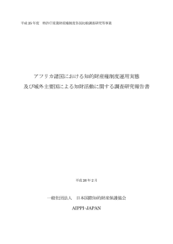 （平成26年2月、日本国際知的財産保護協会） 4