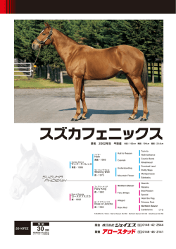 スズカフェニックス