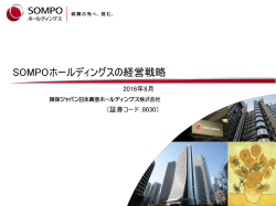 SOMPOホールディングスの経営戦略