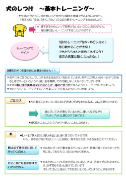 犬のしつけ ～基本トレーニング～