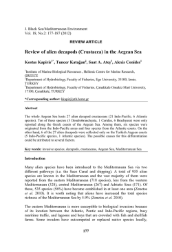 Mini Lexdray クローム レックスドレイ バッグ 【SHANGHAI TOTE】 トート