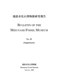 J. Itoigawa and H. Karasawa (eds.)