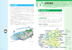 生物多様性 - なにわエコスタイル