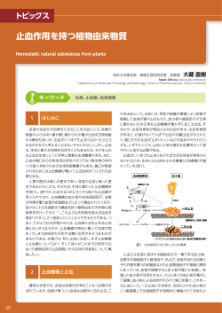 止血作用を持つ植物由来物質