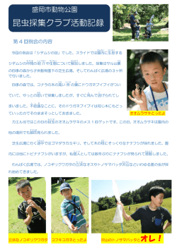昆虫採集クラブ活動記録