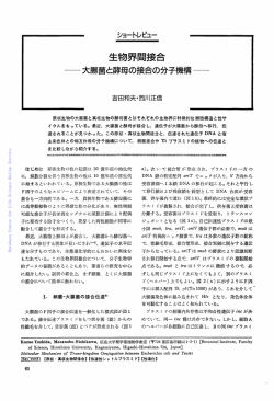 蛋白質核酸酵素:生物界間接合 : 大腸菌と酵母の接合の分子機構