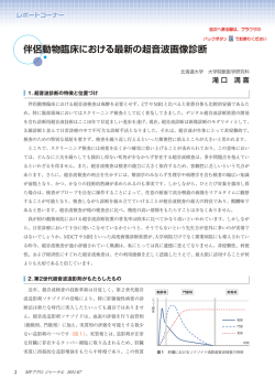 伴侶動物臨床における最新の超音波画像診断