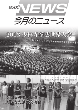 2013 少林寺拳法世界大会