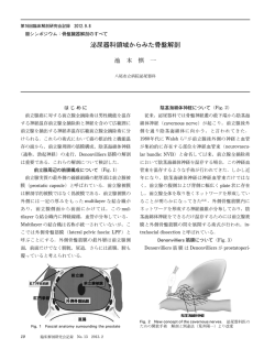 泌尿器科領域からみた骨盤解剖