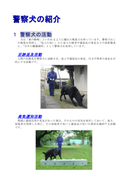 1 警察犬の活動