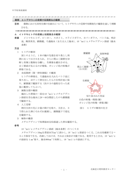 - 1 - 動物における有性生殖の仕組みについて ヒトデやウニの受精や初期
