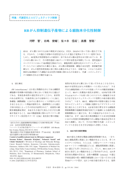 RBがん抑制遺伝子産物による細胞未分化性制御