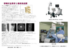 阪和記念病院 脊椎・脊髄センター Biplanar 500e (Swemac、Sweden