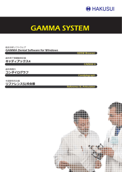 GAMMA SYSTEM