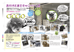 おかげさまでキャンペーン!!