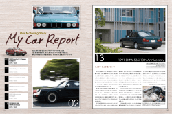 1991 BMW 535i 10th Anniversary