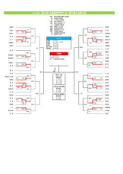 2013年度 第92回 全国高等学校サッカー選手権大会県大会