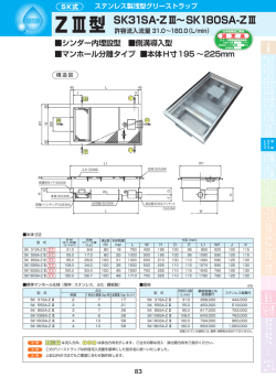 Z Ⅲ型