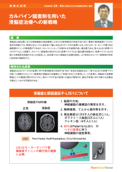 カルパイン阻害剤を用いた 滑脳症治療への新戦略