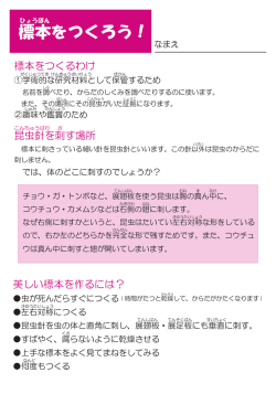 昆虫標本のつくりかた（PDF:3507KB）