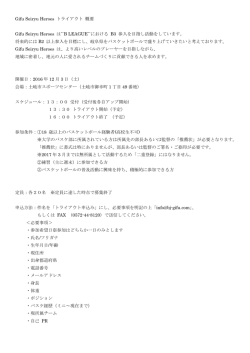 Gifu Seiryu Heroes トライアウト 概要 Gifu Seiryu Heroes は``B