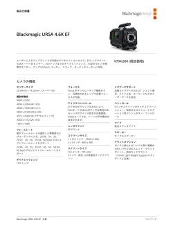 PDFを印刷 - Blackmagic Design