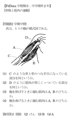 【FdData中間期末：中学理科2年】 [骨格と筋肉の運動] [問題](2学期中間