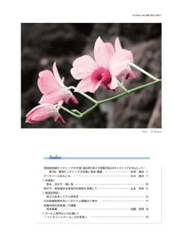 第338号ダウンロード