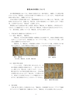 着色米の対策について