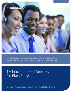 Technical Support Services for BlackBerry
