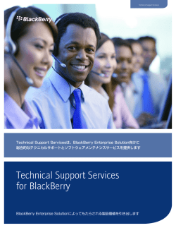Technical Support Services for BlackBerry