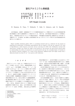本文全体表示【PDF81KB】