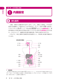 1 内臓器官