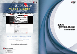 NTB ハンドルレバー リーフレット 2013