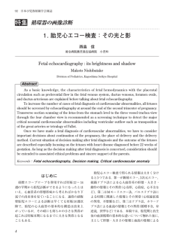 1. 胎児心エコー検査