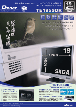 Dinner TE195SDR カタログ - CANDELA（カンデラ）株式会社ディーオン