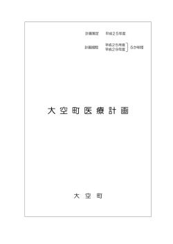 H25_29医療計画.