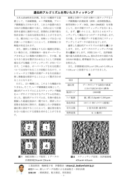 遺伝的アルゴリズムを用いたスティッチング （PDF: 225.1 KB）