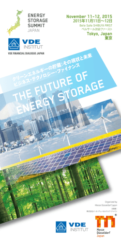 THE FUTURE OF ENERGY STORAGE