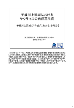 さけますセンターでは、天然魚と共存可能な資源増殖・管理方策の開発を