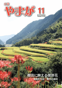 PDF全ページダウンロード（約5MB）