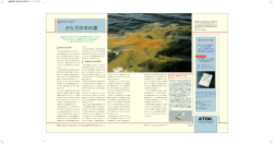 からだの中の海 - TDK株式会社