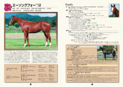 No.13 エーソングフォー`12