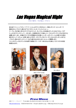LasVegasMagicalNight