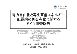 電力自由化と再生可能エネルギー、 配電網の再公有化に関する ドイツ