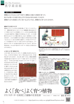 よく「食べ」よく育つ植物