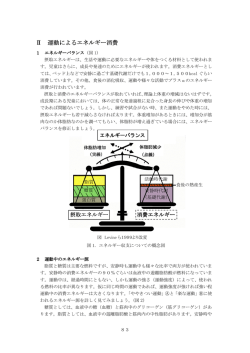 Ⅱ 運動によるエネルギー消費