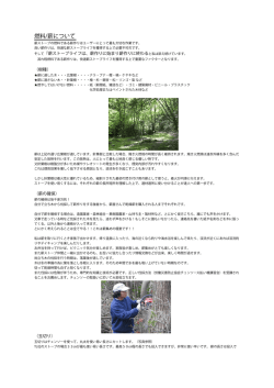 燃料/薪について