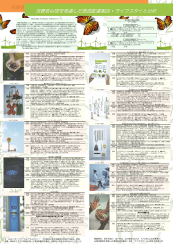 研究紹介PDF: 540kB - managi
