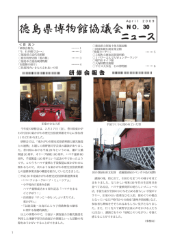 No.30 2009年4月1日発行 PDF形式